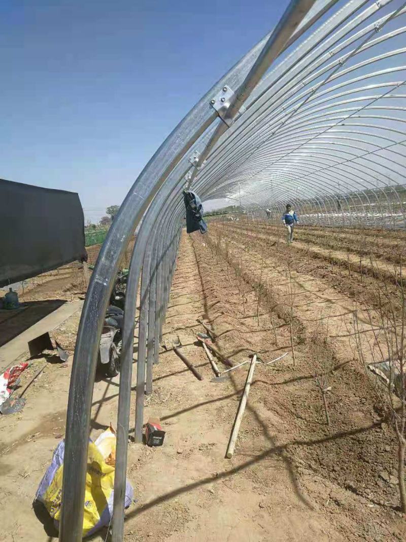 生产加工：养殖大棚种植大棚日光暖棚连栋大棚