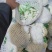 【实力推荐】有机花菜，青梗花菜，散花供应各大市场，