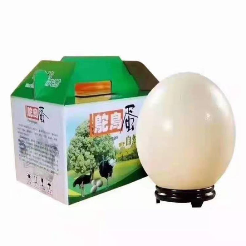 新鲜的鸵鸟蛋一枚三斤半高蛋白营养丰富