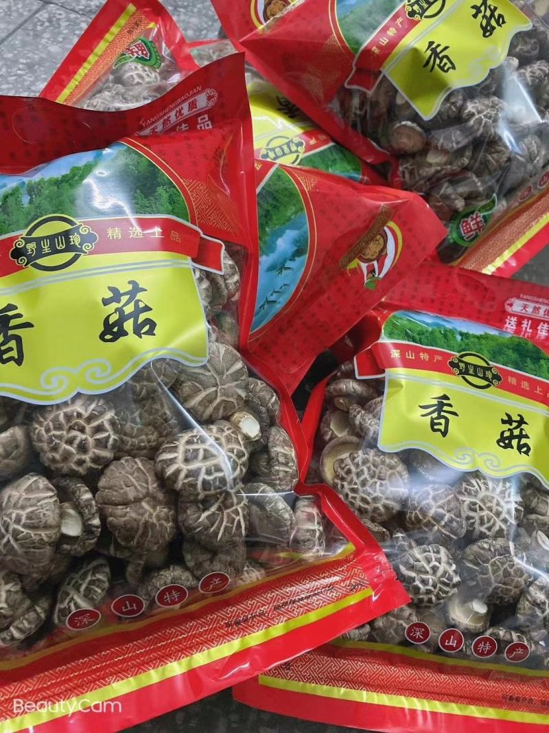 随州香菇之乡，春栽和秋栽
