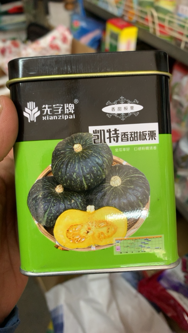 板栗南瓜种子先字牌凯特香甜板栗产量高口感好面甜