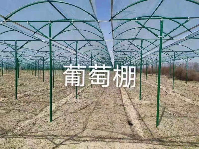本厂家直销各种大棚骨架，各种镀锌管，热镀锌，镀锌带等