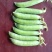 【推荐】豌豆荚青豌豆甜豌豆量大从优产地直销货源充足！