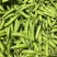 【推荐】豌豆荚青豌豆甜豌豆量大从优产地直销货源充足！