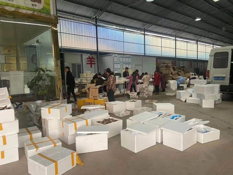 羊肚菌云南源头产地一手货源干货产地直发一件代发