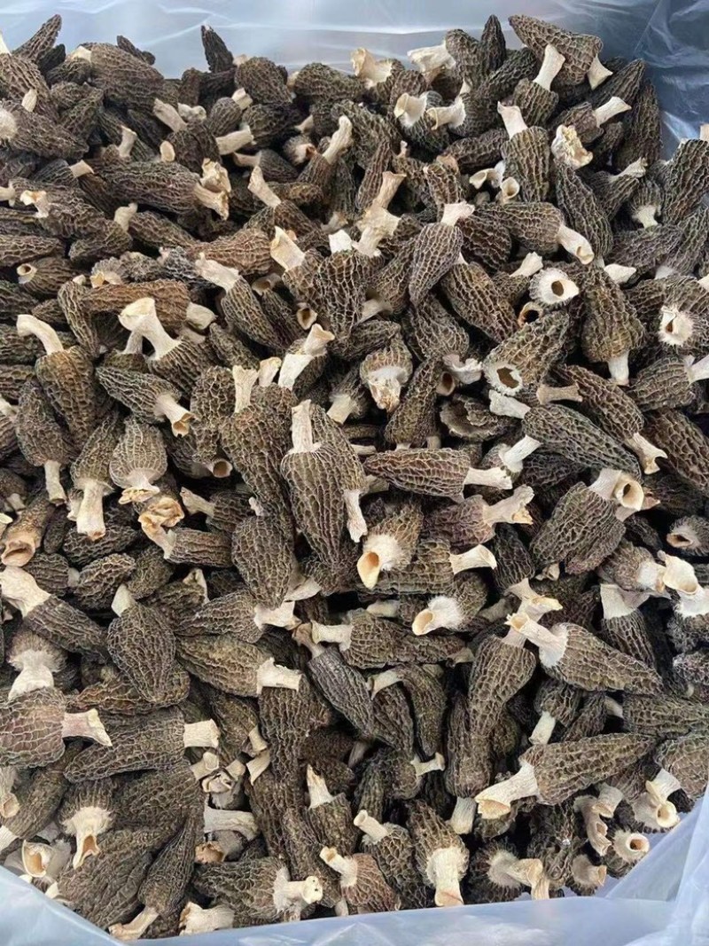 羊肚菌云南源头产地一手货源干货产地直发一件代发
