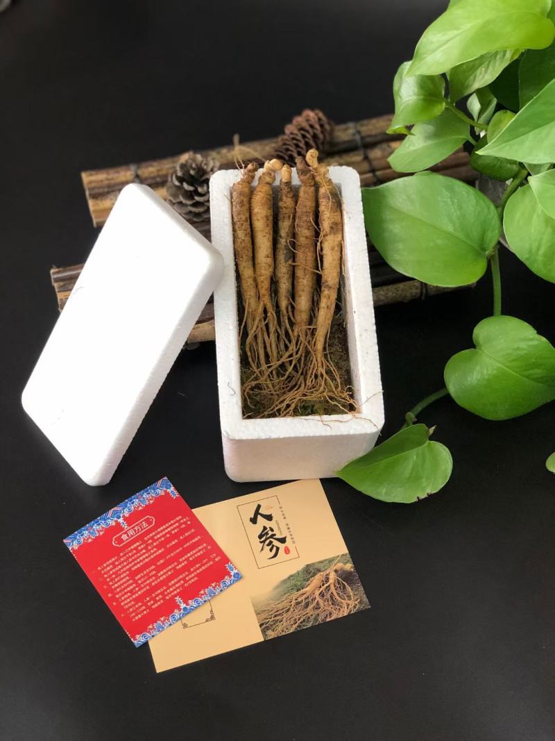 长白山新鲜人参，煲汤参，泡酒参，火锅参，酒瓶参，顺丰包邮