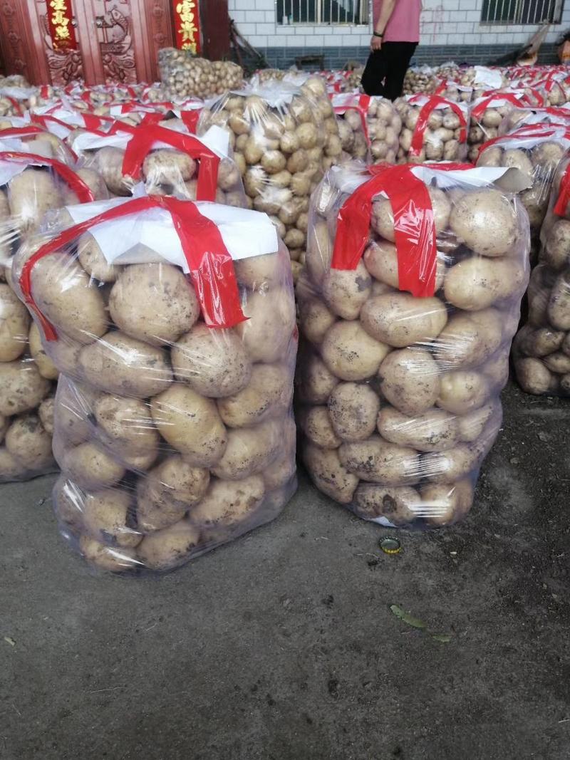 【优选】新鲜土豆荷兰15中薯5号希森3号6号大量上市
