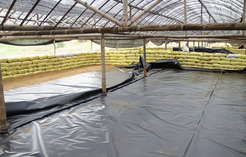 黑白大棚膜养殖膜、菌菇养殖棚膜、储青覆盖膜
