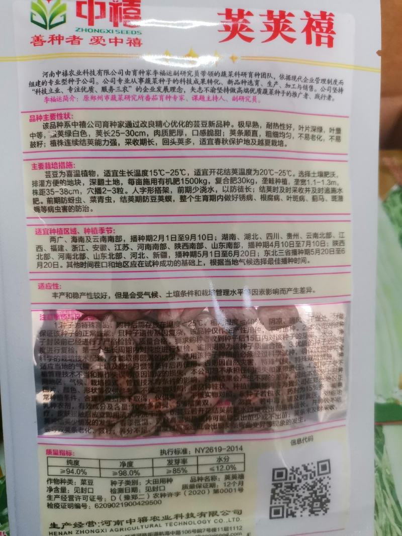 【优质】芸豆种子宽豆角种子长度25-30厘米