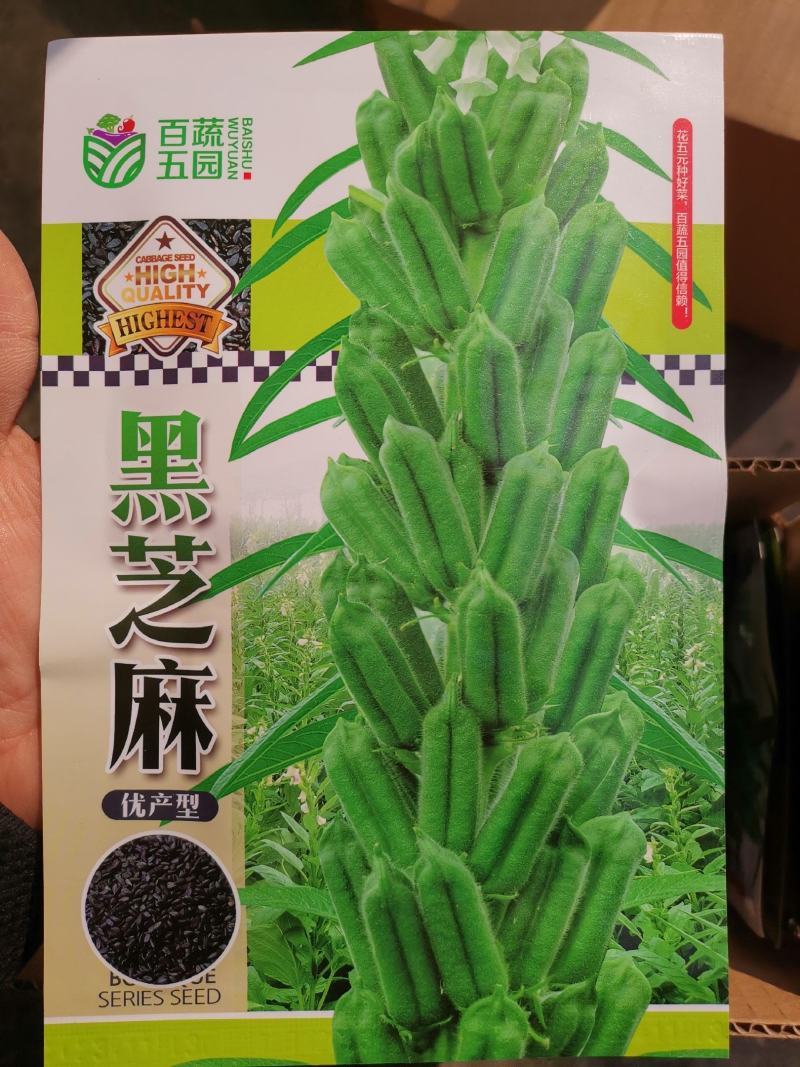 【优质】黑白芝麻种子亩产300/400斤左右出油率高香