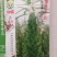 【优质】黑白芝麻种子亩产300/400斤左右出油率高香