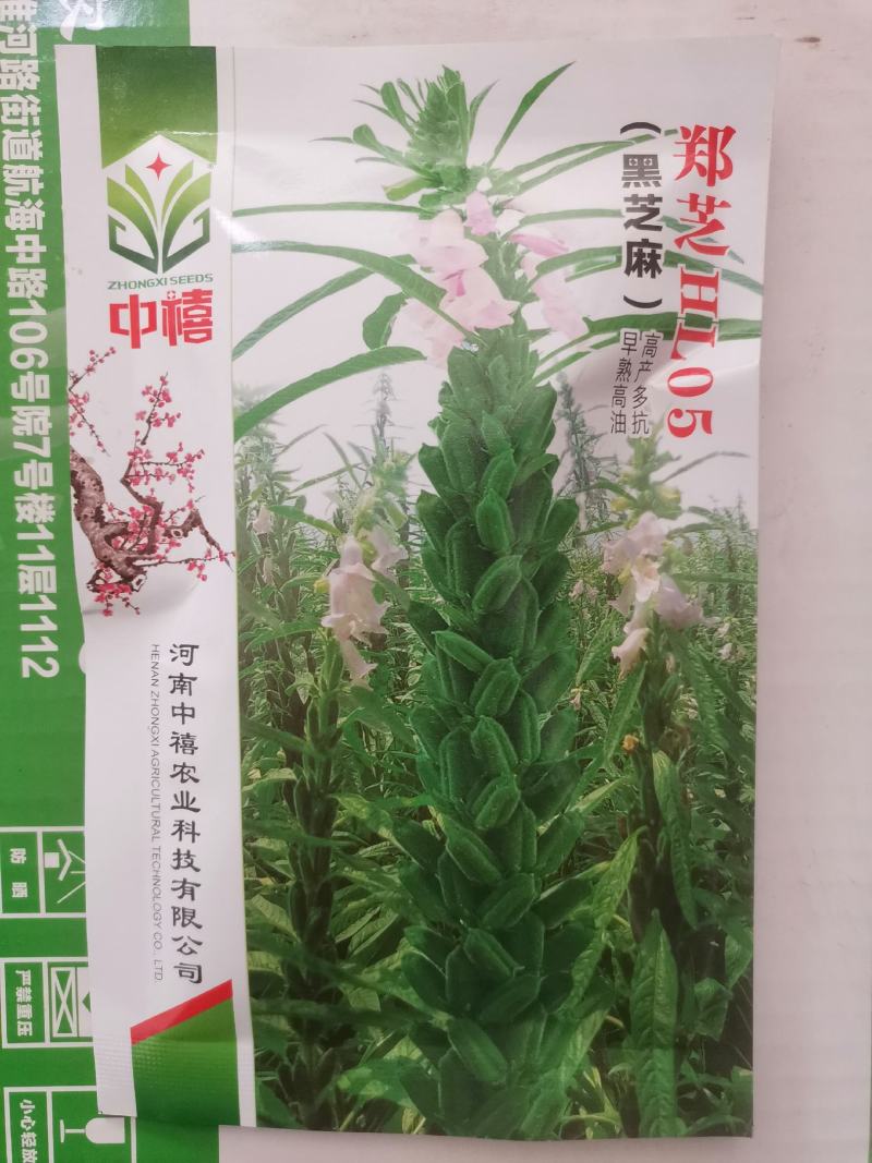 【优质】黑白芝麻种子亩产300/400斤左右出油率高香