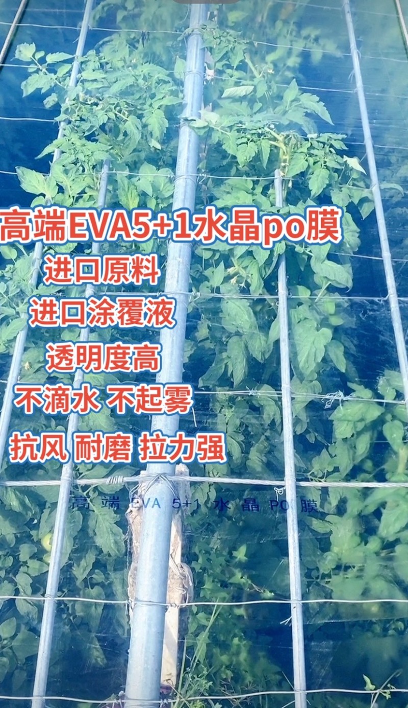 高端EVA5+2水晶po膜进口原料涂敷剂规格齐全可定制