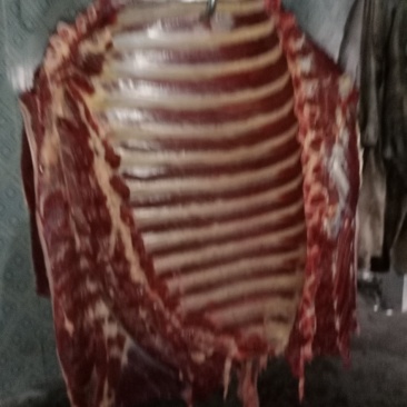 带骨驴肋排马肋排肉新鲜肉大量持续供应检疫安全真空包装