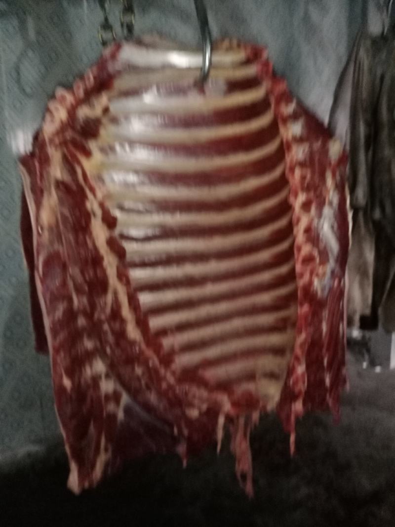 带骨驴肋排马肋排肉新鲜肉大量持续供应检疫安全真空包装