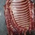 带骨驴肋排马肋排肉新鲜肉大量持续供应检疫安全真空包装
