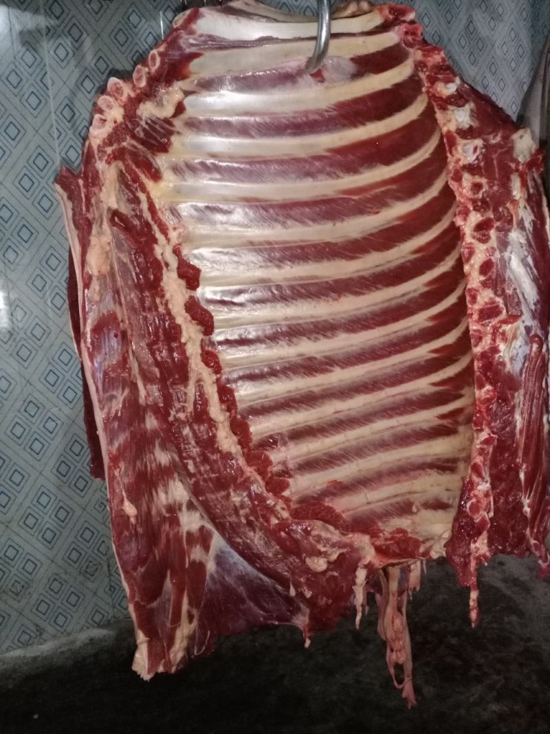 带骨驴肋排马肋排肉新鲜肉大量持续供应检疫安全真空包装