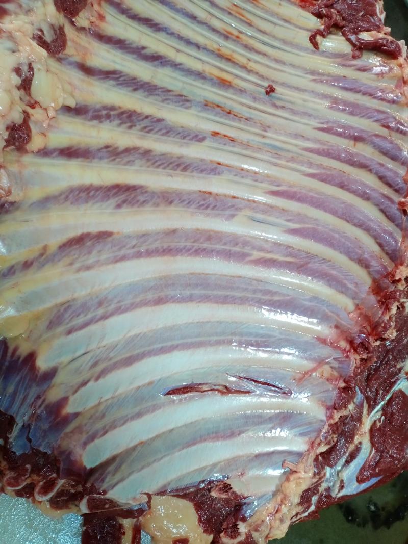 带骨驴肋排马肋排肉新鲜肉大量持续供应检疫安全真空包装