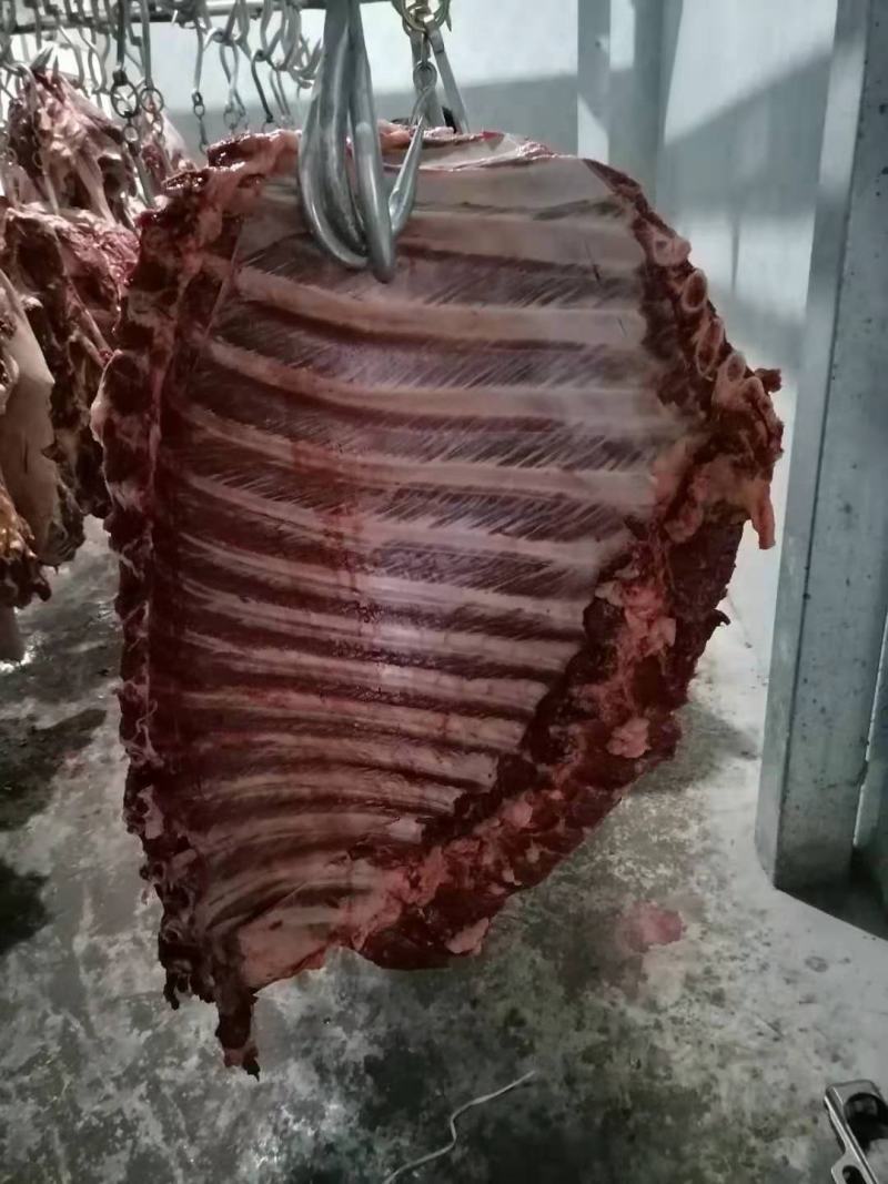 带骨驴肋排马肋排肉新鲜肉大量持续供应检疫安全真空包装