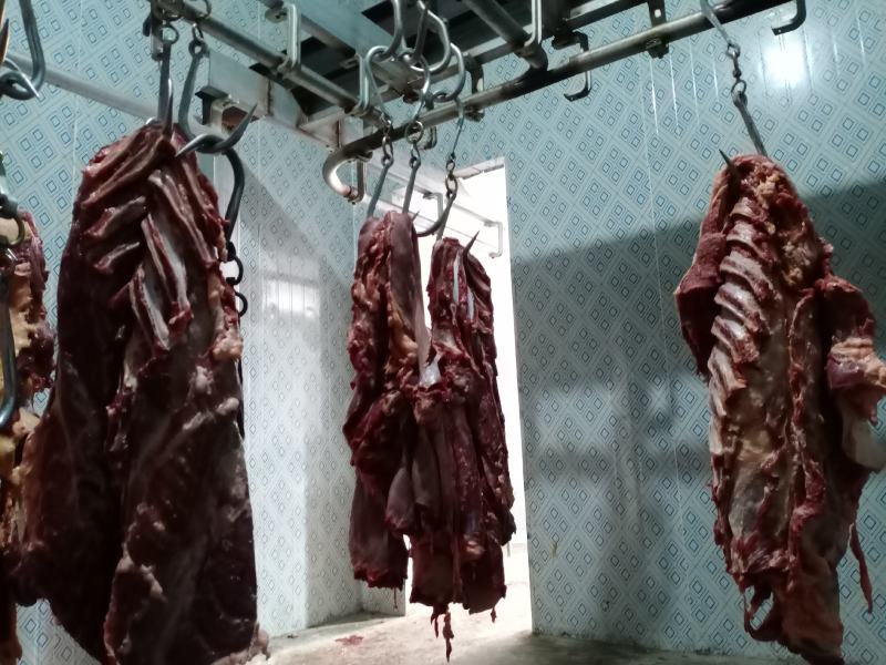 带骨驴肋排马肋排肉新鲜肉大量持续供应检疫安全真空包装
