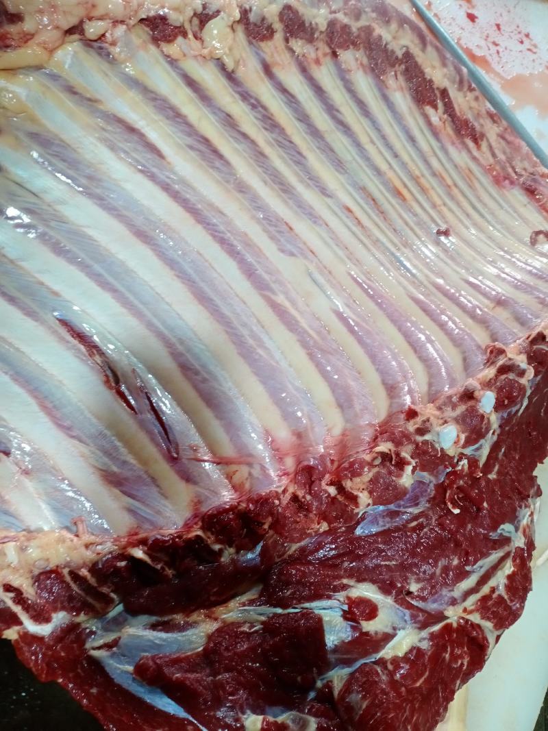 带骨驴肋排马肋排肉新鲜肉大量持续供应检疫安全真空包装