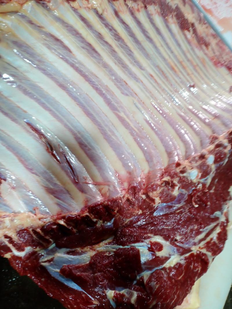 带骨驴肋排马肋排肉新鲜肉大量持续供应检疫安全真空包装