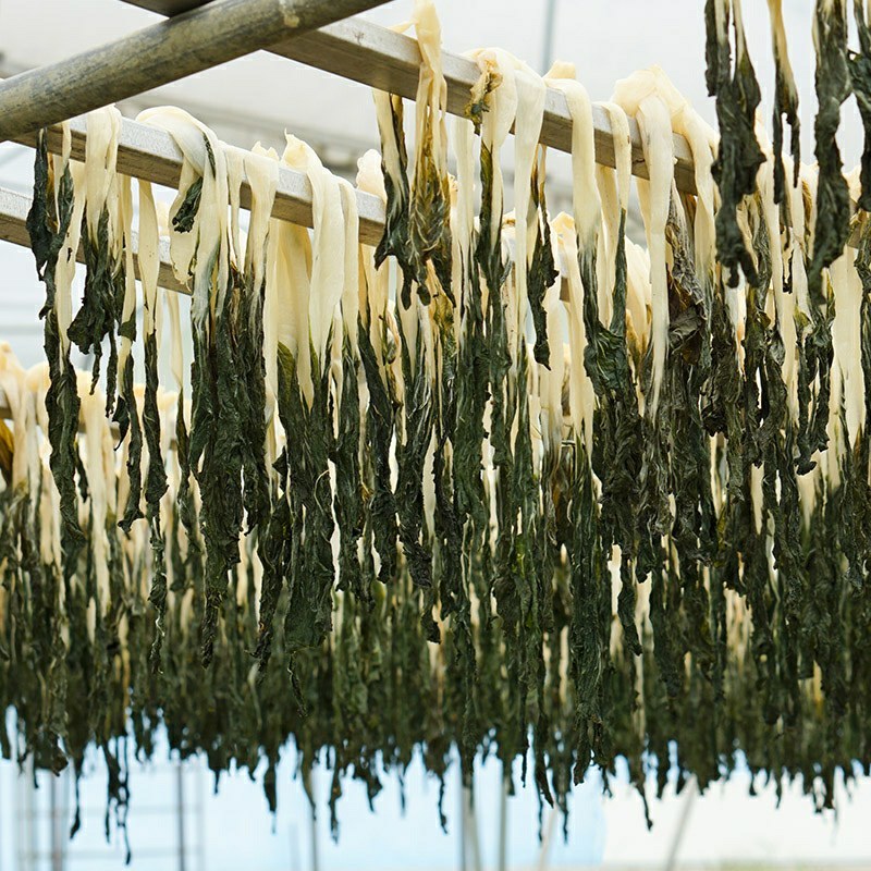 白菜干英德西牛镇农户种植白菜干