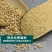 香菜籽香料散装五斤包邮芫荽籽胡荽籽香菜子川菜卤肉炖肉火锅
