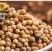 香菜籽香料散装五斤包邮芫荽籽胡荽籽香菜子川菜卤肉炖肉火锅