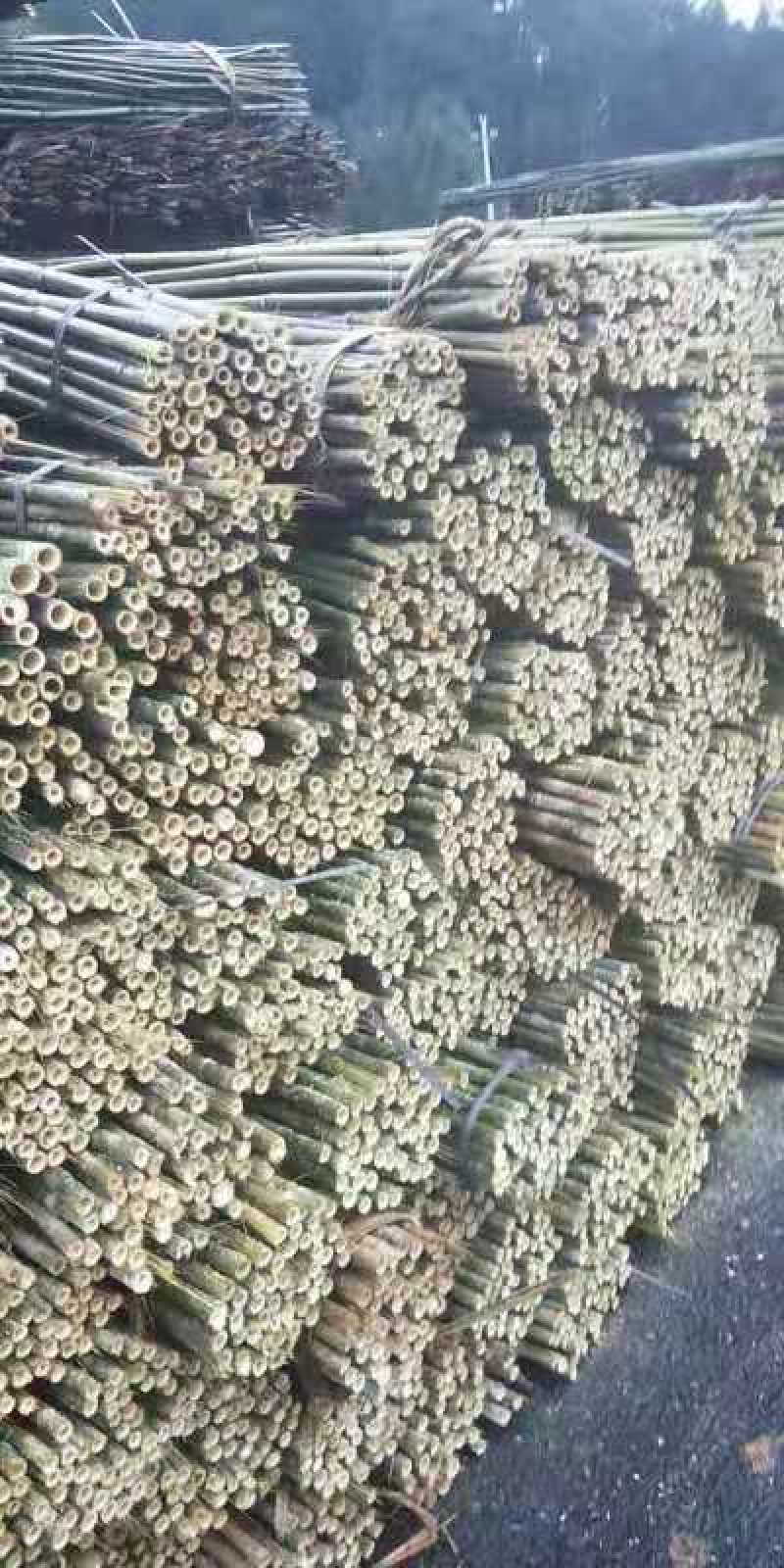 竹竿，大量现货供应