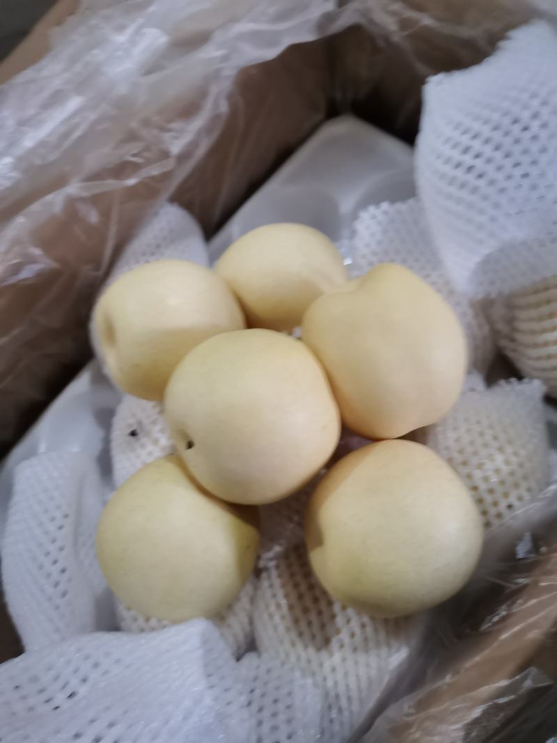 河北辛集黄冠梨货源充足，腊纸袋。价格不贵，口感好。