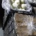 河北辛集黄冠梨货源充足，腊纸袋。价格不贵，口感好。