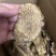 肉苁蓉切片鲜干片沙漠人参中药材泡酒料精品