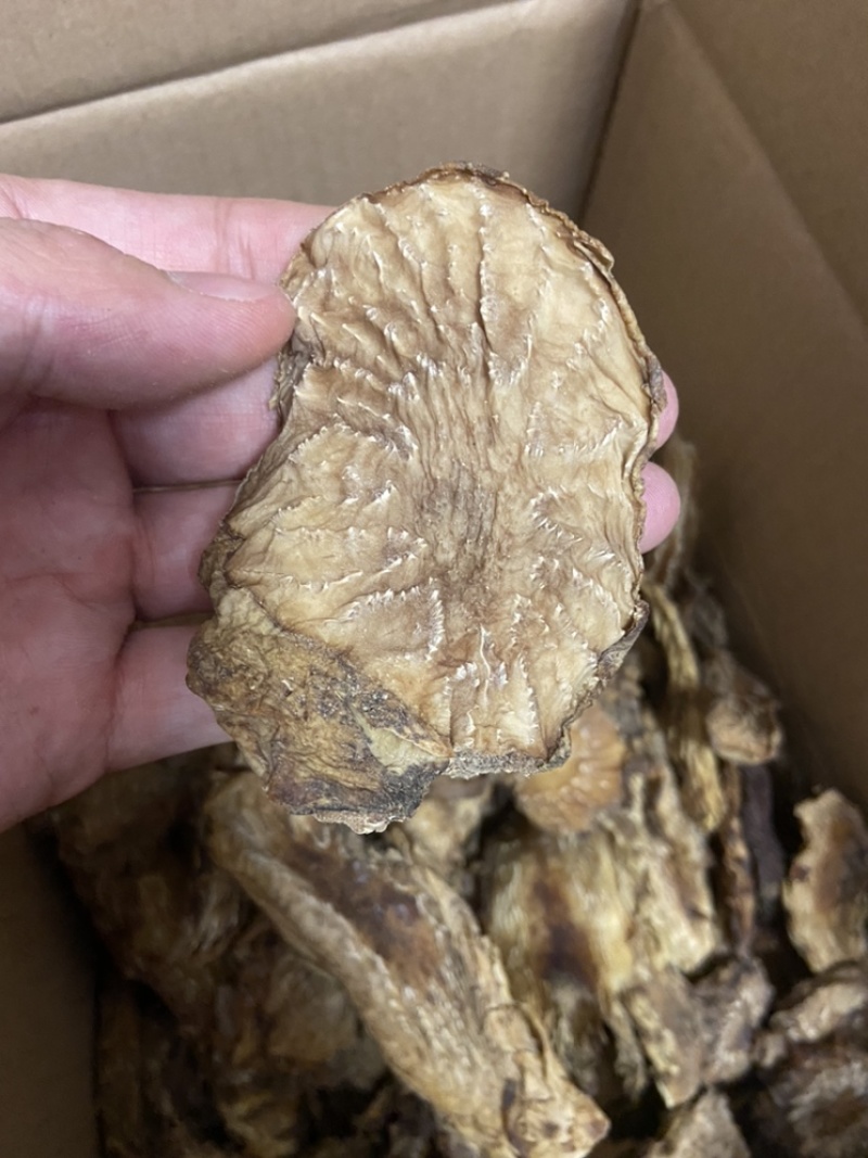肉苁蓉切片鲜干片沙漠人参中药材泡酒料精品