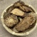肉苁蓉切片鲜干片沙漠人参中药材泡酒料精品