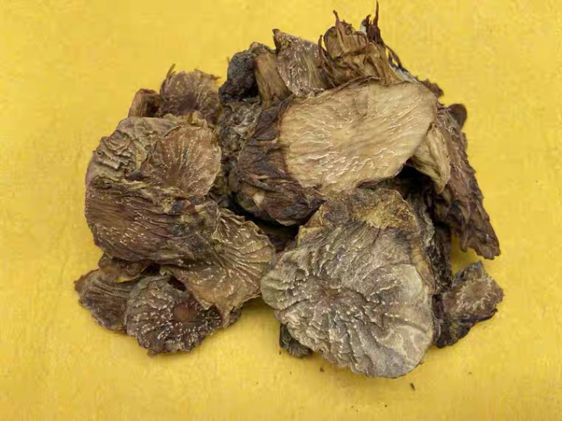 肉苁蓉切片鲜干片沙漠人参中药材泡酒料精品