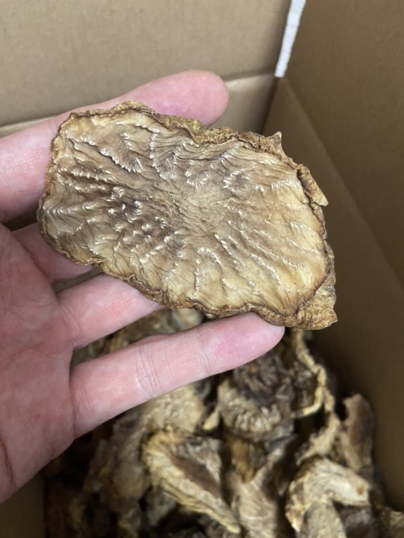 肉苁蓉切片鲜干片沙漠人参中药材泡酒料精品