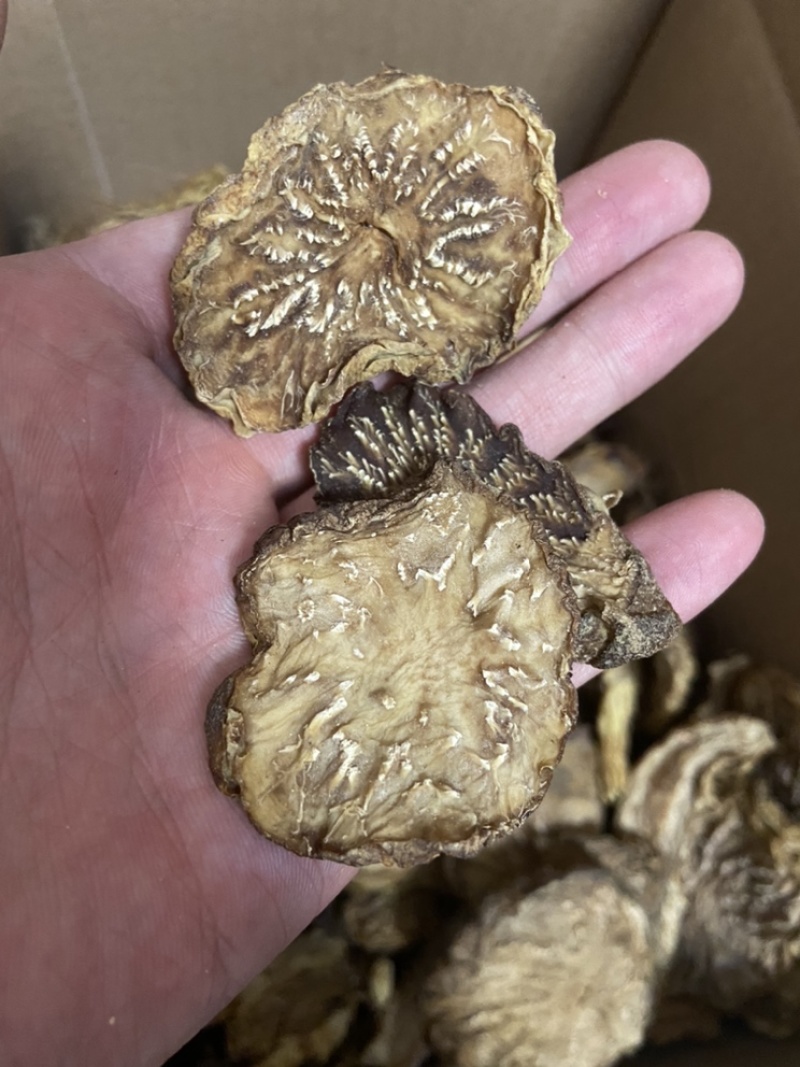 肉苁蓉切片鲜干片沙漠人参中药材泡酒料精品