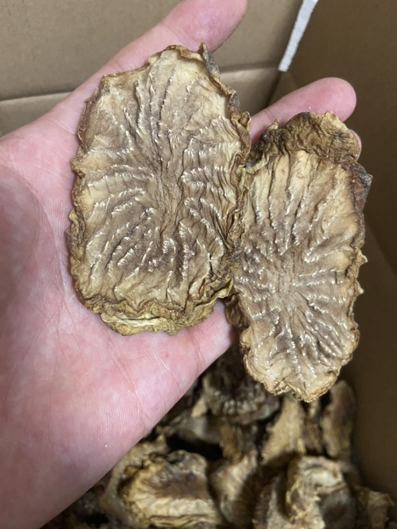 肉苁蓉切片鲜干片沙漠人参中药材泡酒料精品