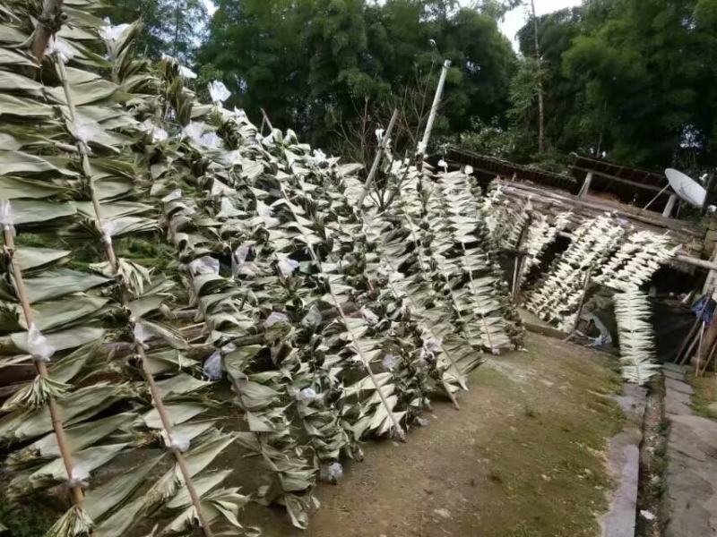 粽叶，粽叶批发，批发，成色质量上上等