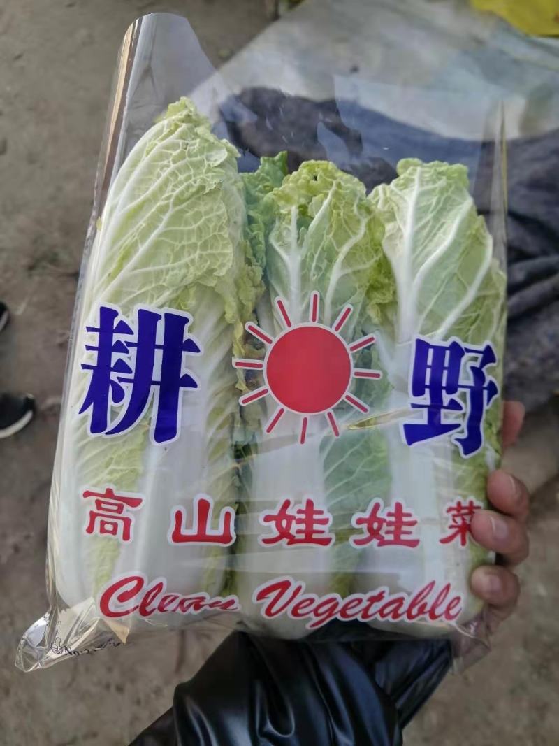 娃娃菜，小娃，高山娃娃菜，新鲜娃娃菜，价格便宜！