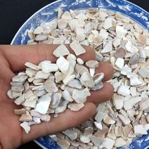 生珍珠母中药材真珠母明珠母煅珍珠母蚌壳粉50