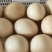 散养鸵鸟蛋、食用。140/个！量大从优。