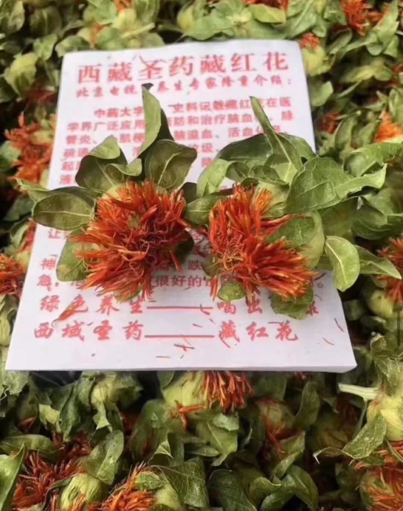 地摊跑量藏红花朵花红叶绿今年新货干度好，厂家批发