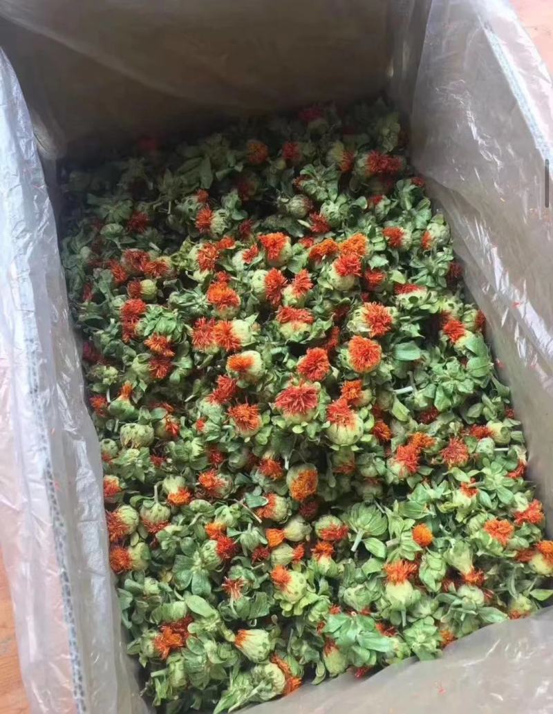 地摊跑量藏红花朵花红叶绿今年新货干度好，厂家批发