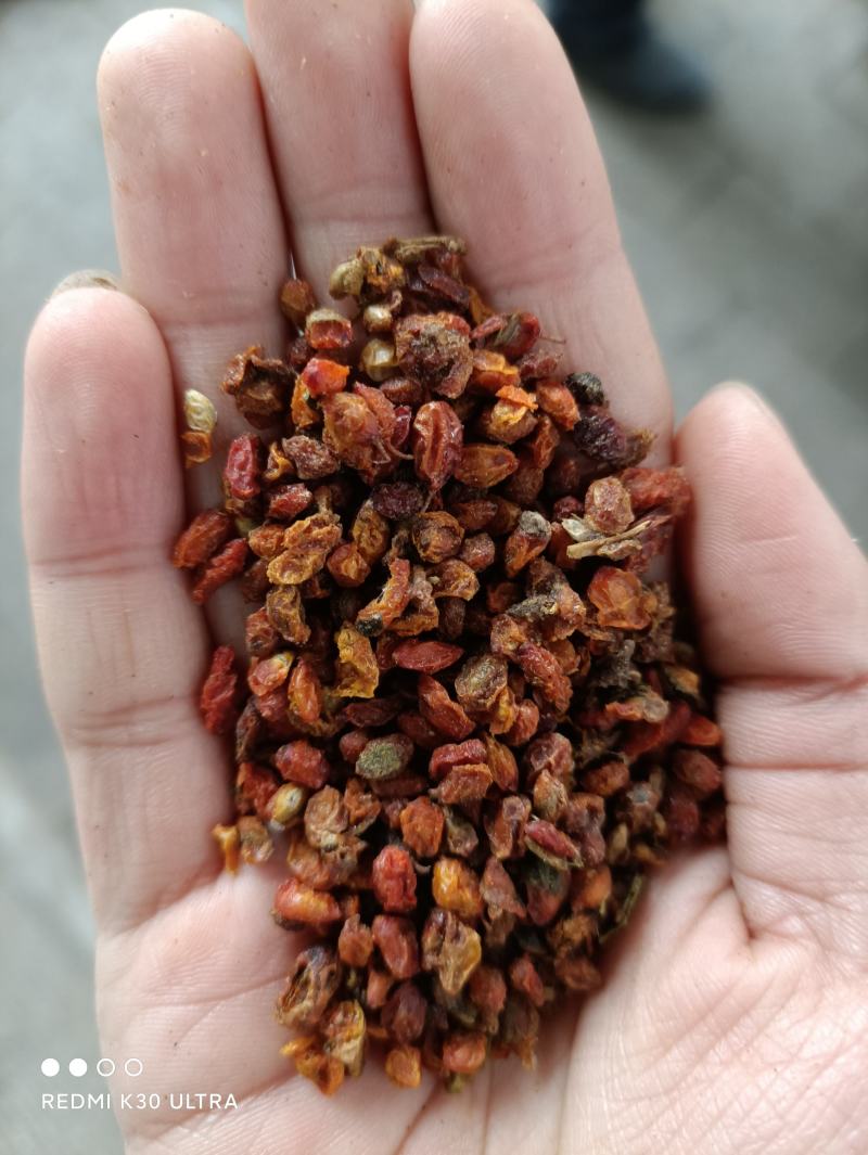 沙棘果沙棘干货各种质量批发零售大量有货
