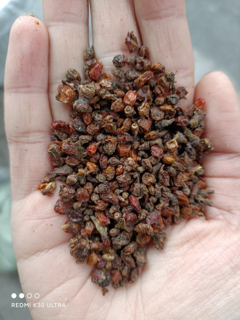 沙棘果沙棘干货各种质量批发零售大量有货