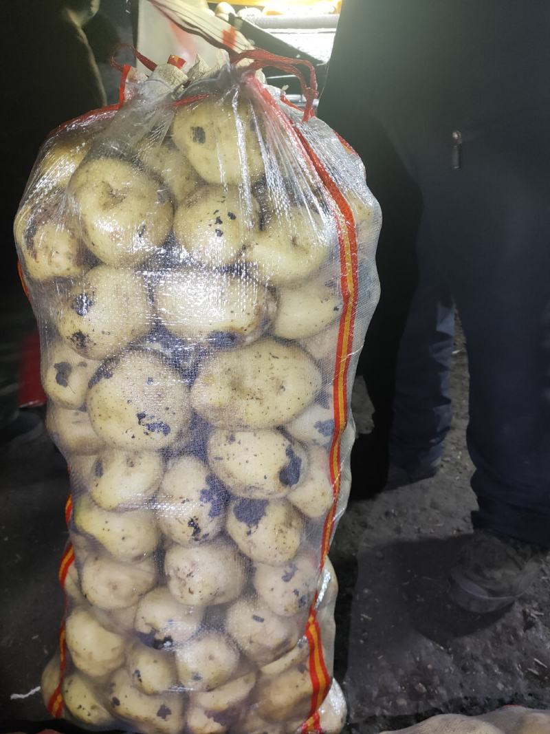 是您想要货源，兴佳，可水洗，干洗完货更是美丽的，诚实守信