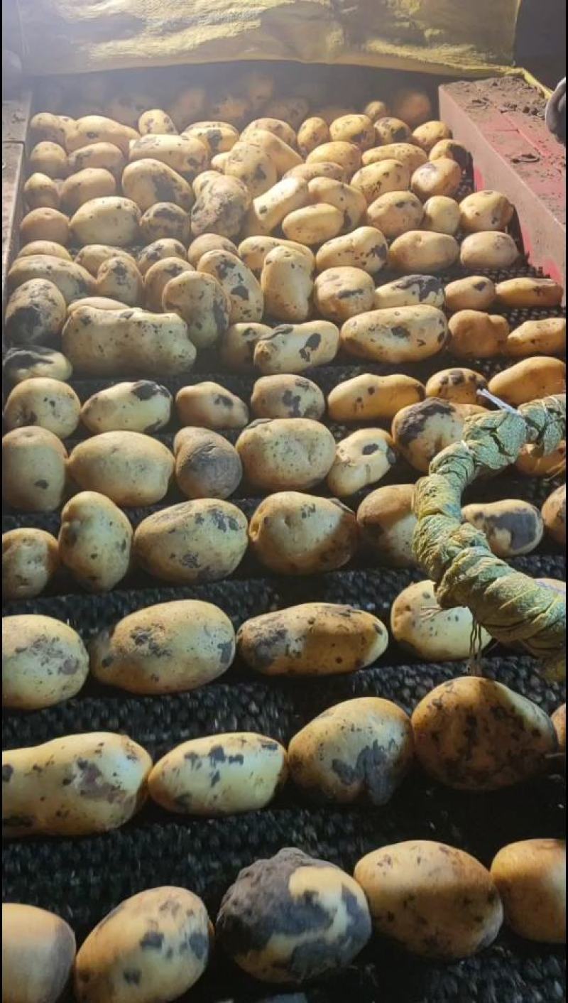 是您想要货源，兴佳，可水洗，干洗完货更是美丽的，诚实守信